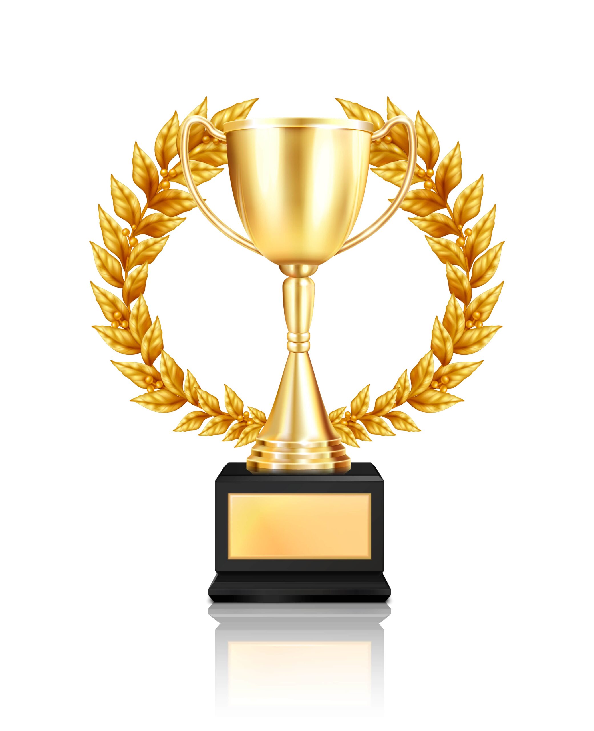 Contemporary Award Designs - Platinum Awards